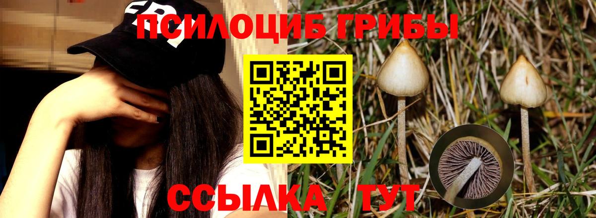 Галлюциногенные грибы GOLDEN TEACHER Отрадный