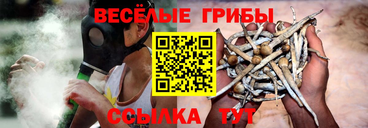 Отрадный  как найти закладки  Галлюциногенные грибы Magic Shrooms  Вход с VPN  Псилоцибиновые грибы мухоморы 